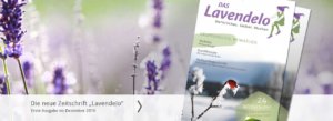 Das Lavendelo Ausgabe Winter 2016