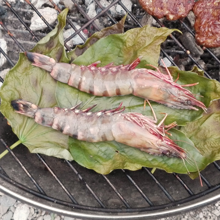 Grillen ohne Alufolie