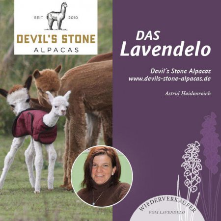 Devilston Alpakas Wiederverkäufer vom Lavendelo