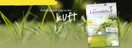 Das Lavendelo im Frühjahr 2018