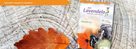 Das Lavendelo im Herbst 2018 Zeitschrift