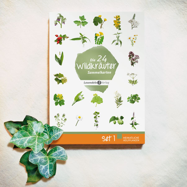 Wildkräuterkarten-Box vom Lavendelo-Verlag