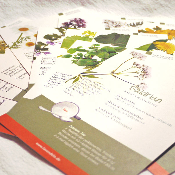 Wildkräuterkarten einzeln vom Lavendelo-Verlag