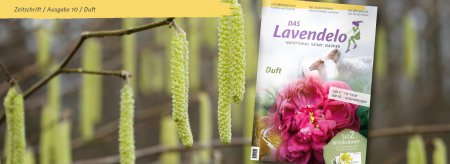 Banner Das Lavendelo Ausgabe 10 Frühling 2019
