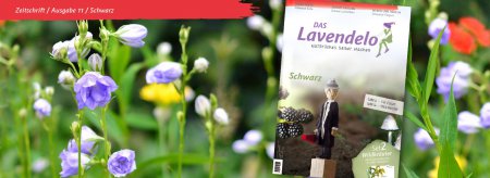 Das Lavendelo Ausgabe 11 Schwarz