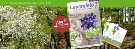 Lavendelo 14, Wildes mit Prämien