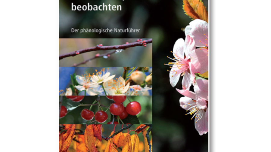 2009_Ausgabe16_Pflanzen_beaobachten