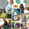 Kristall Überblick Winterlavendelo 20-21