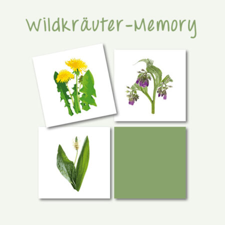 Wildkräuter Memory Lavendelo