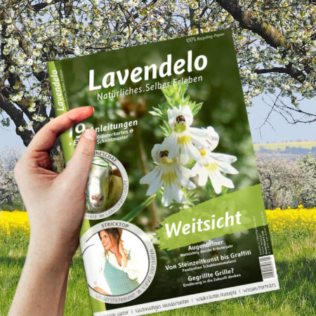 Weitsicht Lavendelo 