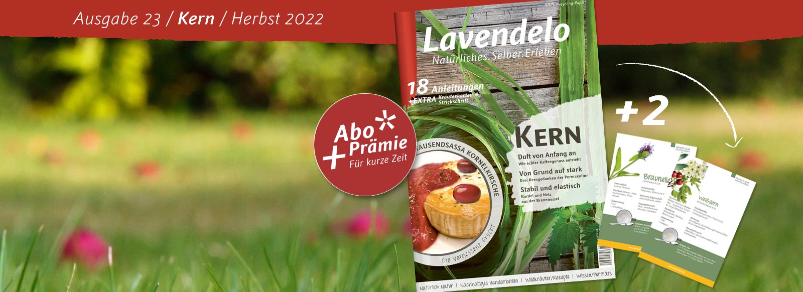 Lavendelo Herbst 2022 Ausgabe 23 "Kern"