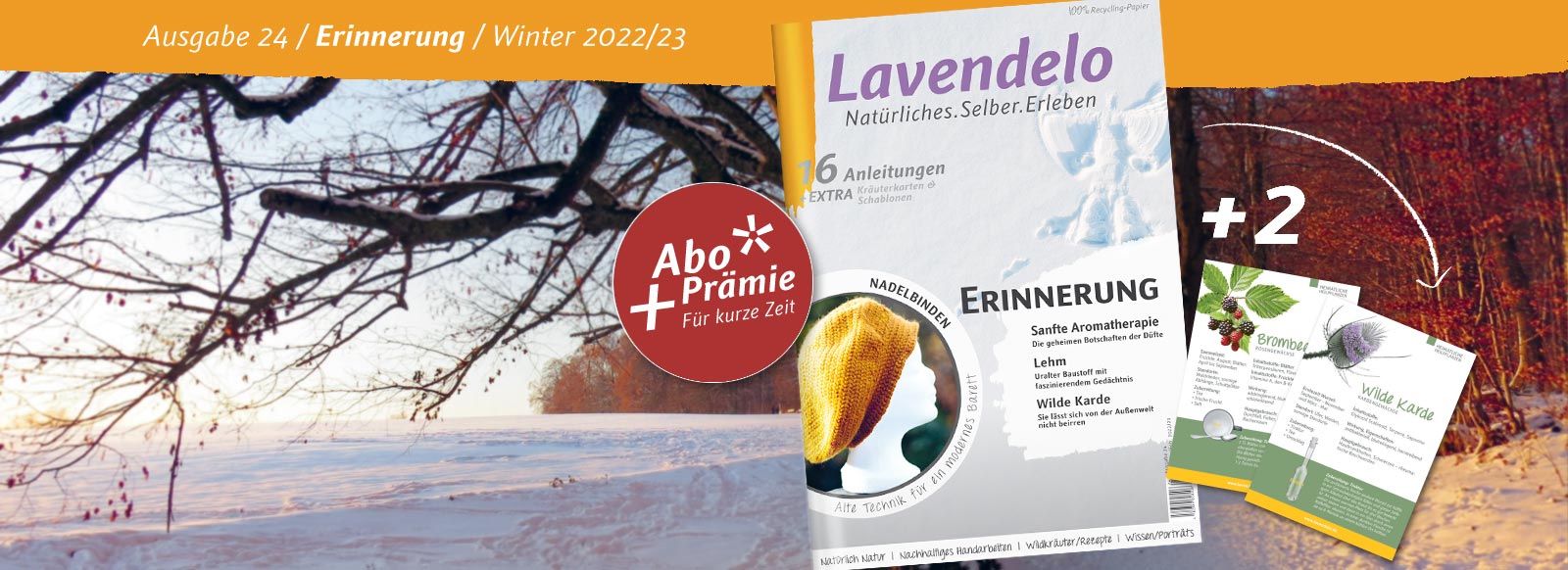 Lavendelo 24 "Erinnerung 2022/23