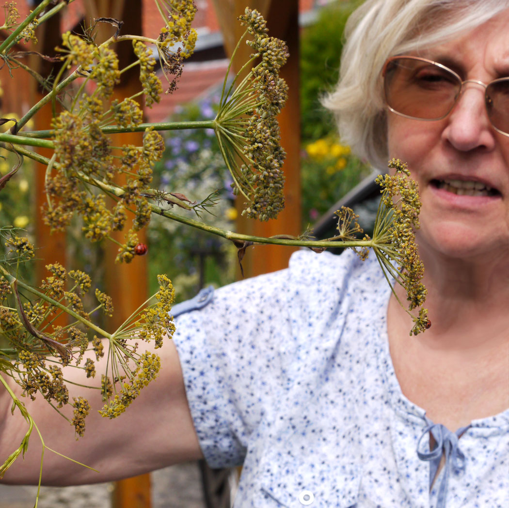 Karin Bechstein Lavendelo