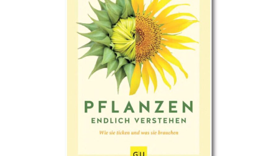 Buchvorstellung: Karin Greiner Pflanzen endlich verstehen